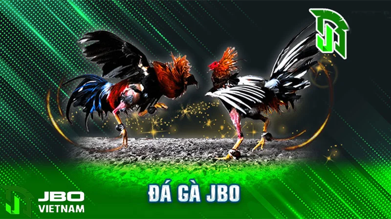 Đá gà